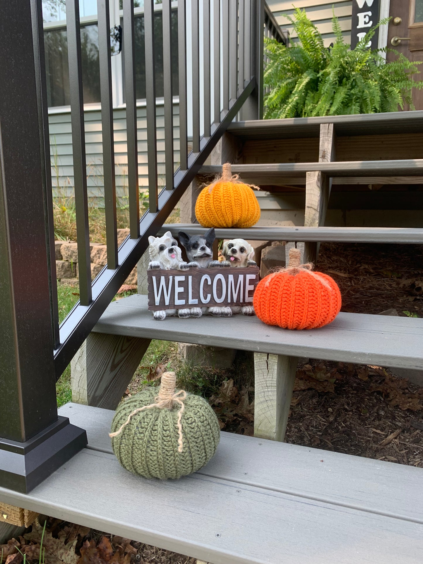Orange Pumpkin