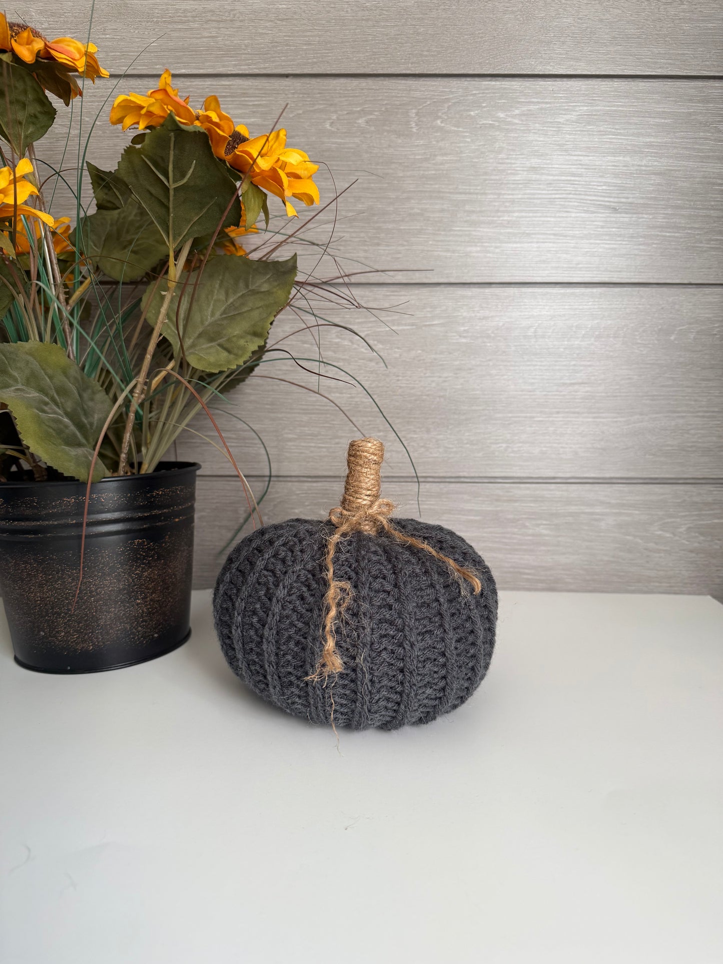 Dark Gray Pumpkin