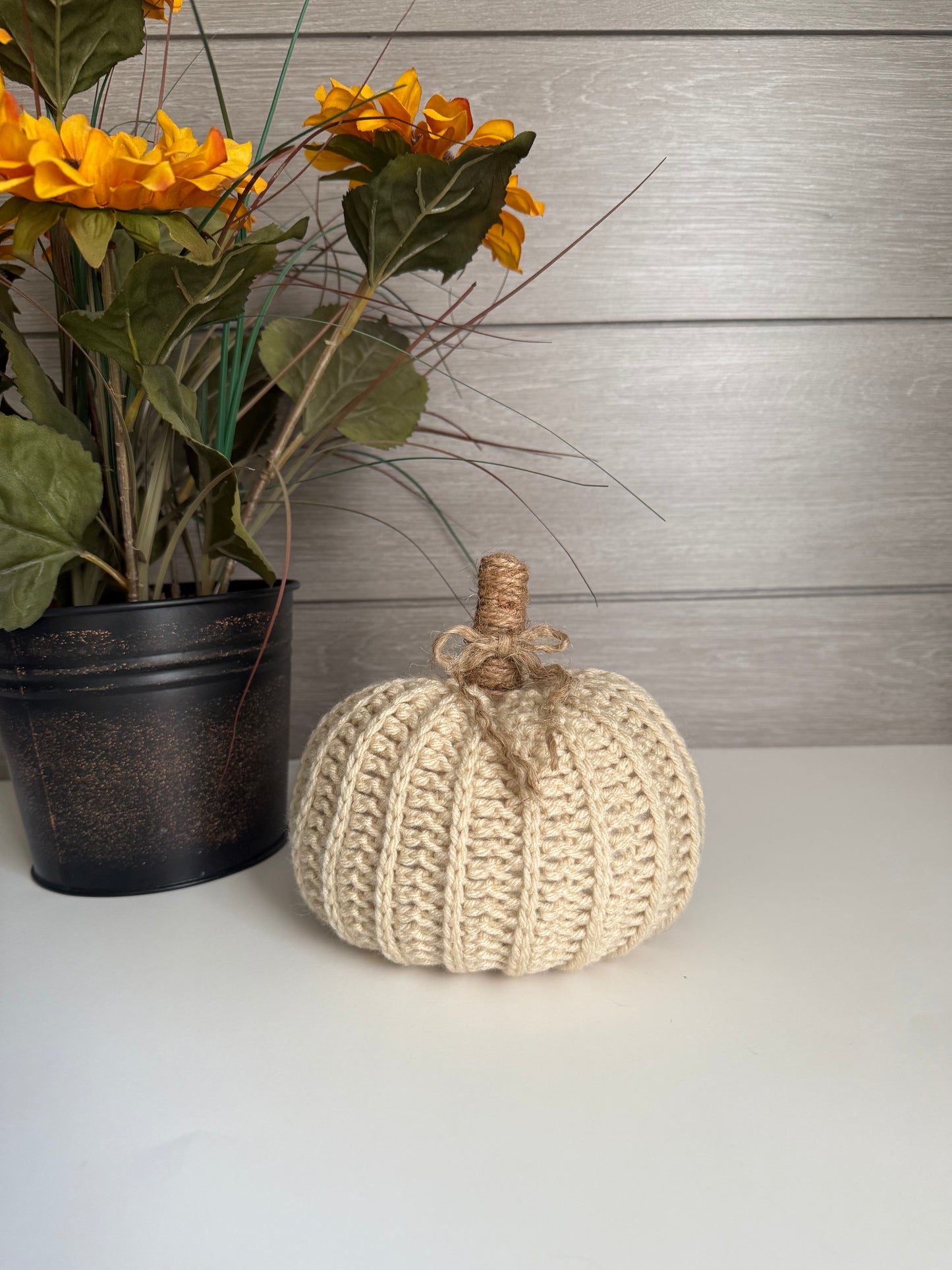 Cream Pumpkin